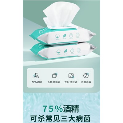 海氏海诺 10P 湿巾/手帕纸 杀菌消毒湿纸巾单片装随身装独片包装 10片