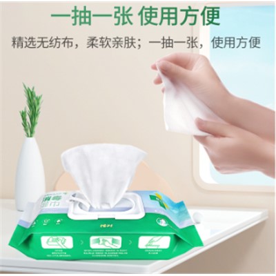 洗得宝 PF-H8665 湿巾/手帕纸 季铵盐消毒湿巾卫生湿巾 100片大包装 成人儿童湿纸巾不含酒精温和配方